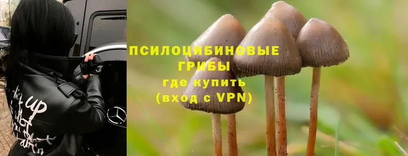 ОМГ ОМГ ONION  как найти закладки  Валуйки  Галлюциногенные грибы Magic Shrooms 